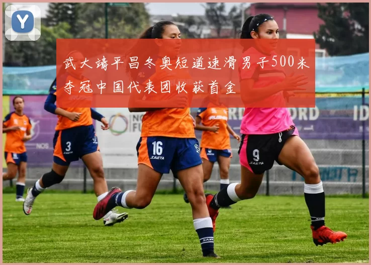 武大靖平昌冬奥短道速滑男子500米夺冠中国代表团收获首金