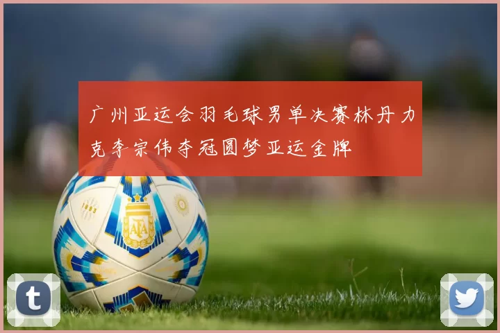 广州亚运会羽毛球男单决赛林丹力克李宗伟夺冠圆梦亚运金牌